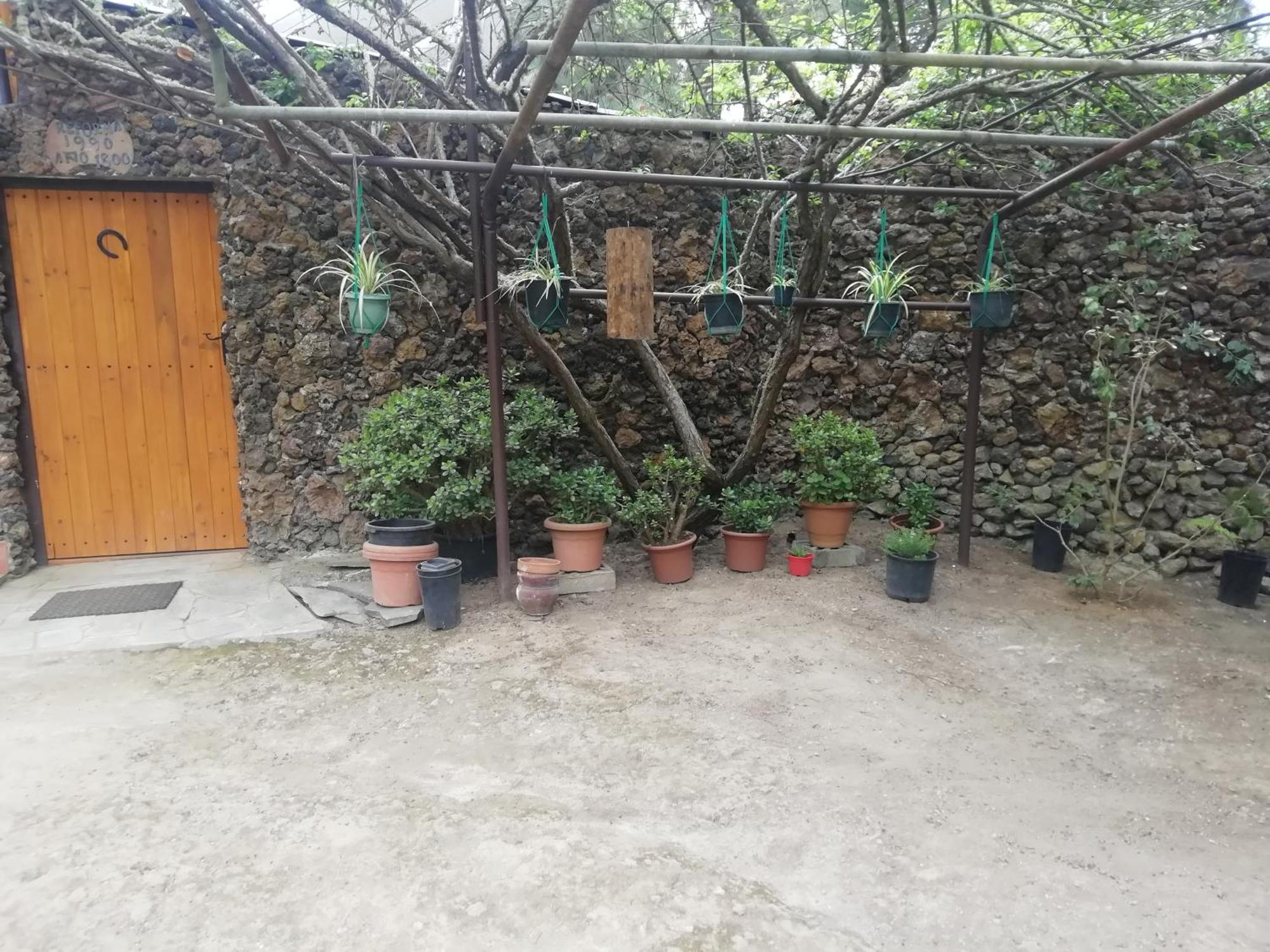 Casa Ecologica, Autosuficiente En Lomo Blanco, Dentro De Una Casa Rodeada De Naturaleza San Juan de la Rambla Extérieur photo